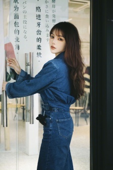 屋顶的大象